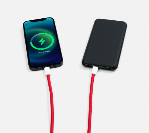 Кабель-ланьярд energyFlex Pro, красный в Рязани